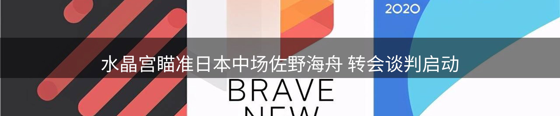 每日精选
