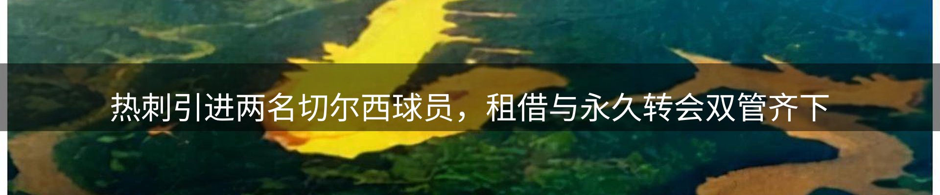 每日精选